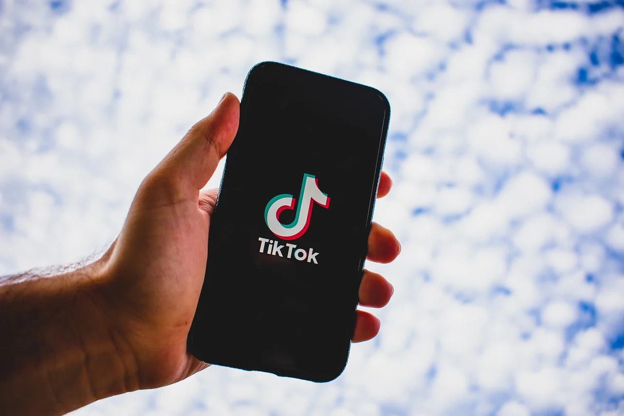 Using TikTok video downloader to build your music library