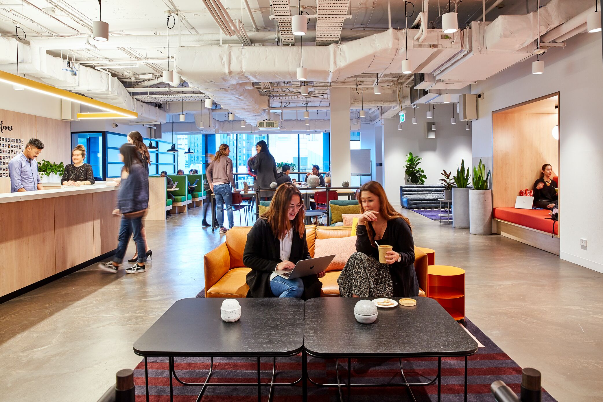 Coworking in Sydney Collaborates and Innovates in Australia's Hub of Business and Innovation